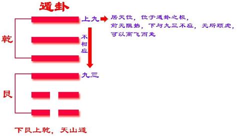 遁卦感情|易经第三十三卦遯卦详解